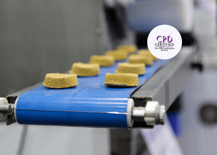 Yellow circular shaped food items being processed on blue conveyor belt in a manufacturing setting.