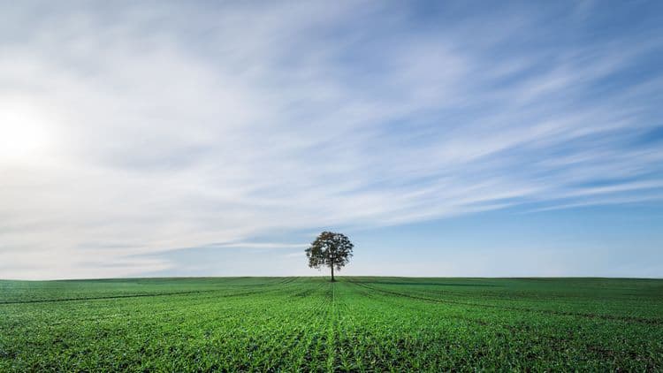 Ways To Improve Your Carbon Footprint
