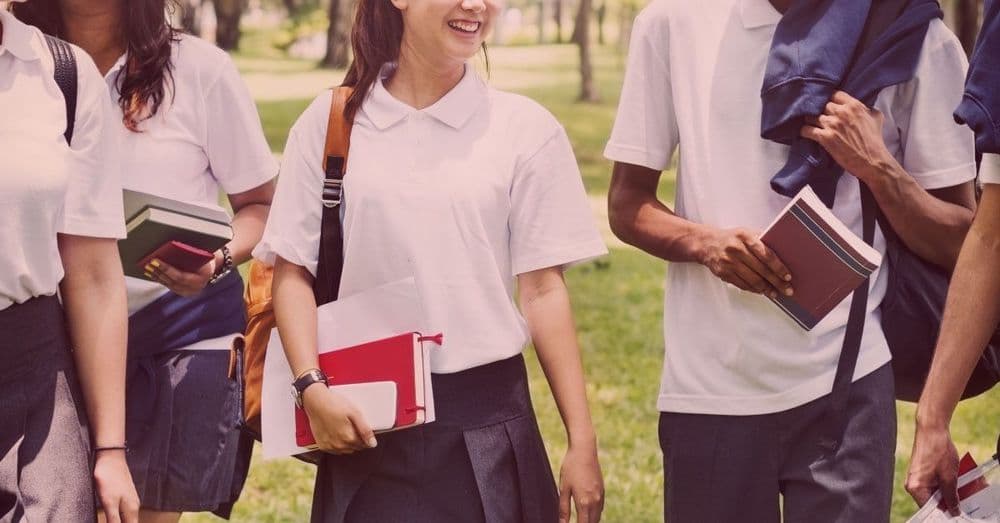 T Levels: What Are They?